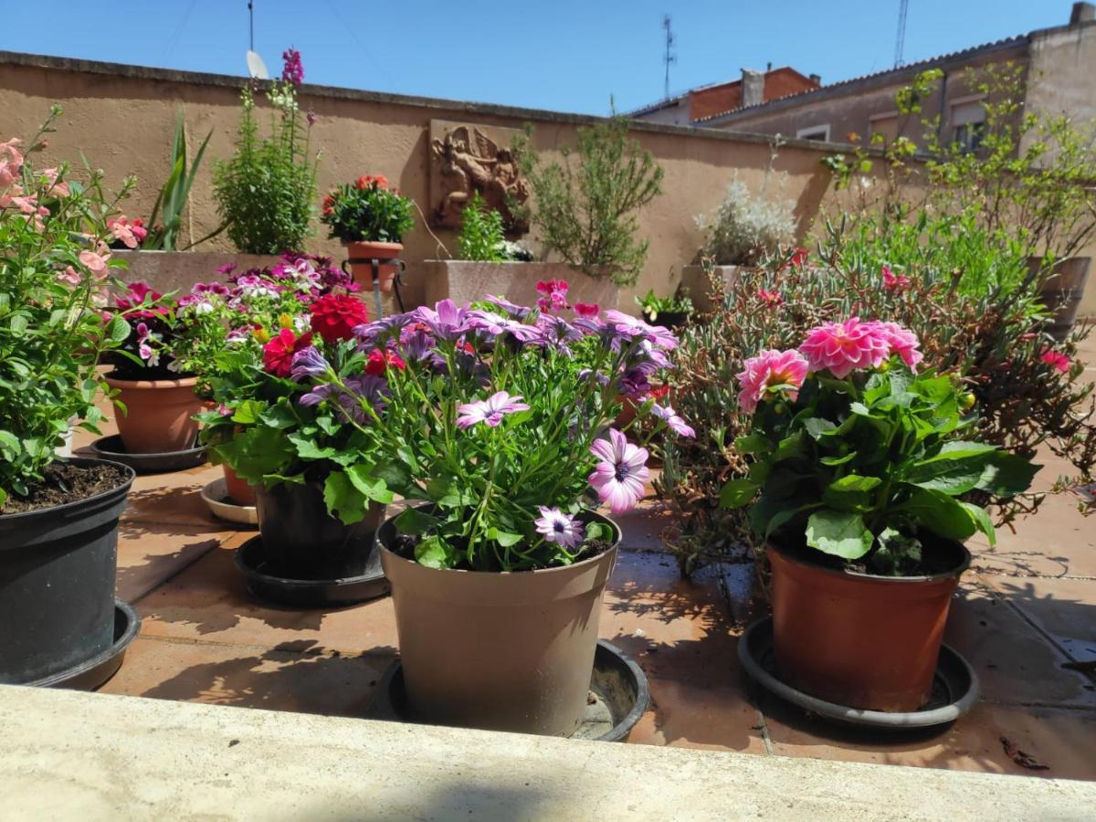 Pension Las Matillas Miranda de Ebro Extérieur photo